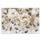 Stupell Industries Warm Neutral Flowers Wall Plaque Design by Carol Robinson